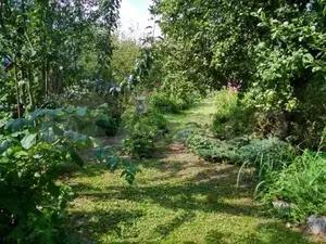 Фото к объявлению #19849151