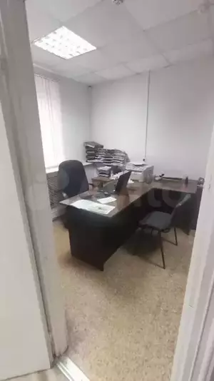 Фото к объявлению #20166861