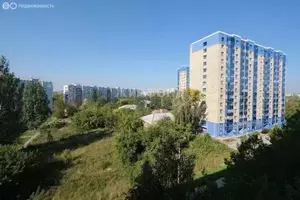 Фото к объявлению #21080553