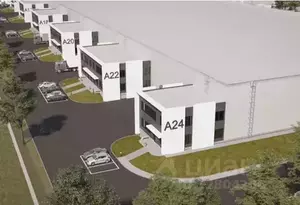 Фото к объявлению #19790848