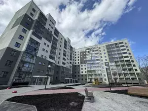 Фото к объявлению #20123973