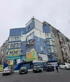 Фото к объявлению #22149091