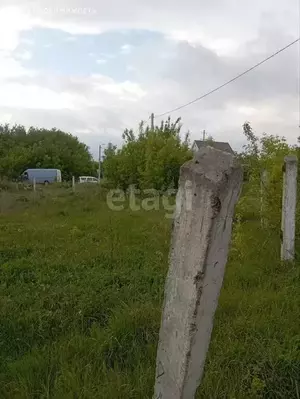 Фото к объявлению #21258610