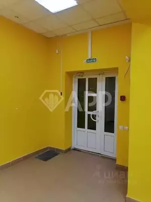 Фото к объявлению #20550570