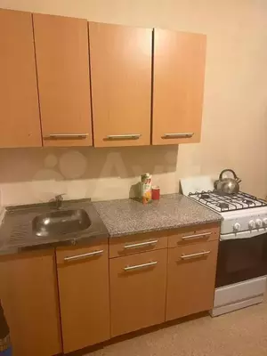 Фото к объявлению #21813004