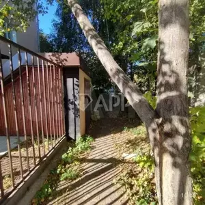 Фото к объявлению #21174266