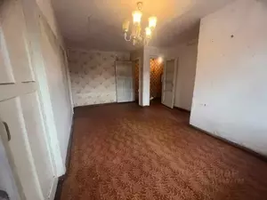 Фото к объявлению #22033954