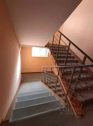 Фото к объявлению #21161842