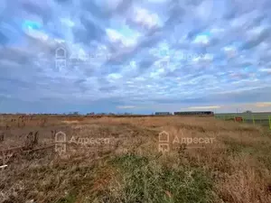 Фото к объявлению #22152661