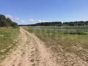 Фото к объявлению #21146354