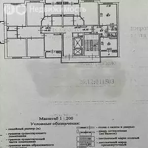 Фото к объявлению #22191562