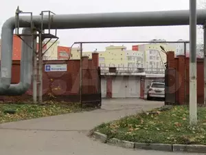 Фото к объявлению #20250127