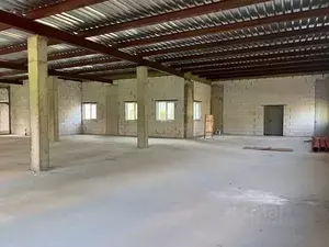 Фото к объявлению #22257625