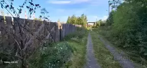 Фото к объявлению #20918912