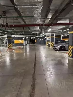 Фото к объявлению #21547588