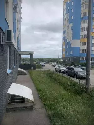 Фото к объявлению #22135198