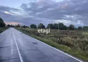 Фото к объявлению #21265396