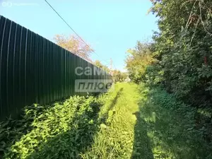 Фото к объявлению #22117054