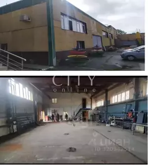 Фото к объявлению #22132222