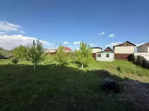 Фото к объявлению #22163422