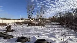 Фото к объявлению #22147866