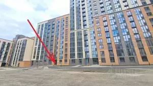 Фото к объявлению #20407069