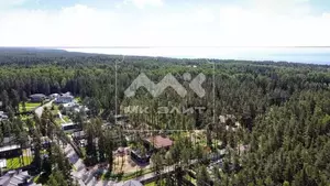 Фото к объявлению #22215534