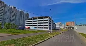Фото к объявлению #19899705