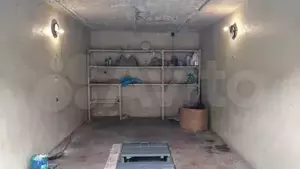 Фото к объявлению #20254266