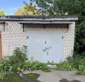 Фото к объявлению #22142255