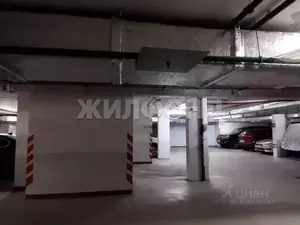 Фото к объявлению #22075968