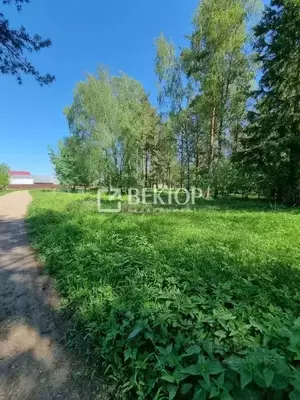 Фото к объявлению #22261732