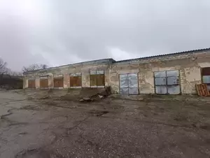 Фото к объявлению #21411003