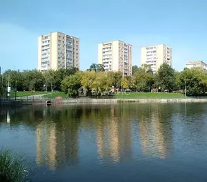 Фото к объявлению #22253814