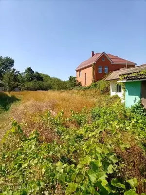 Фото к объявлению #22221527