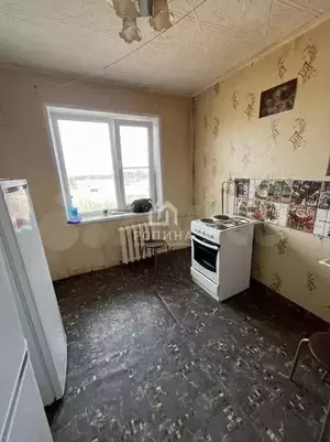 Фото к объявлению #20142486