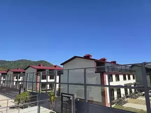 Фото к объявлению #22199606