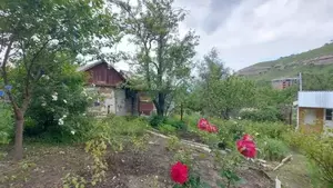 Фото к объявлению #22140439