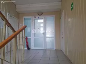 Фото к объявлению #20905211