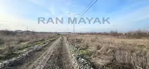 Фото к объявлению #22261683