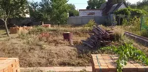Фото к объявлению #22011770
