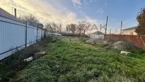 Фото к объявлению #22119418