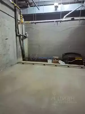 Фото к объявлению #22233035