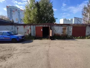 Фото к объявлению #21835571