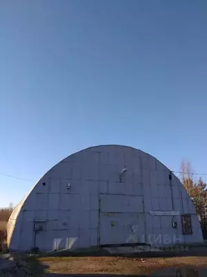 Фото к объявлению #22242476