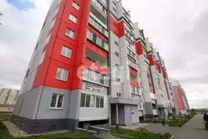 Фото к объявлению #20687142