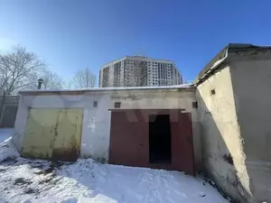 Фото к объявлению #21950599