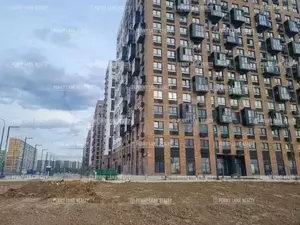 Фото к объявлению #20001031