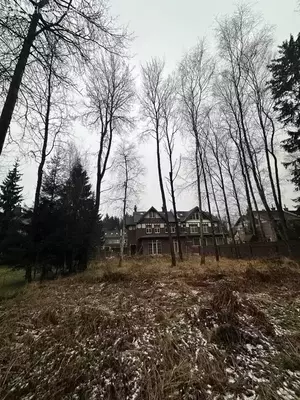 Фото к объявлению #22281313