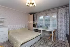 Фото к объявлению #21347920